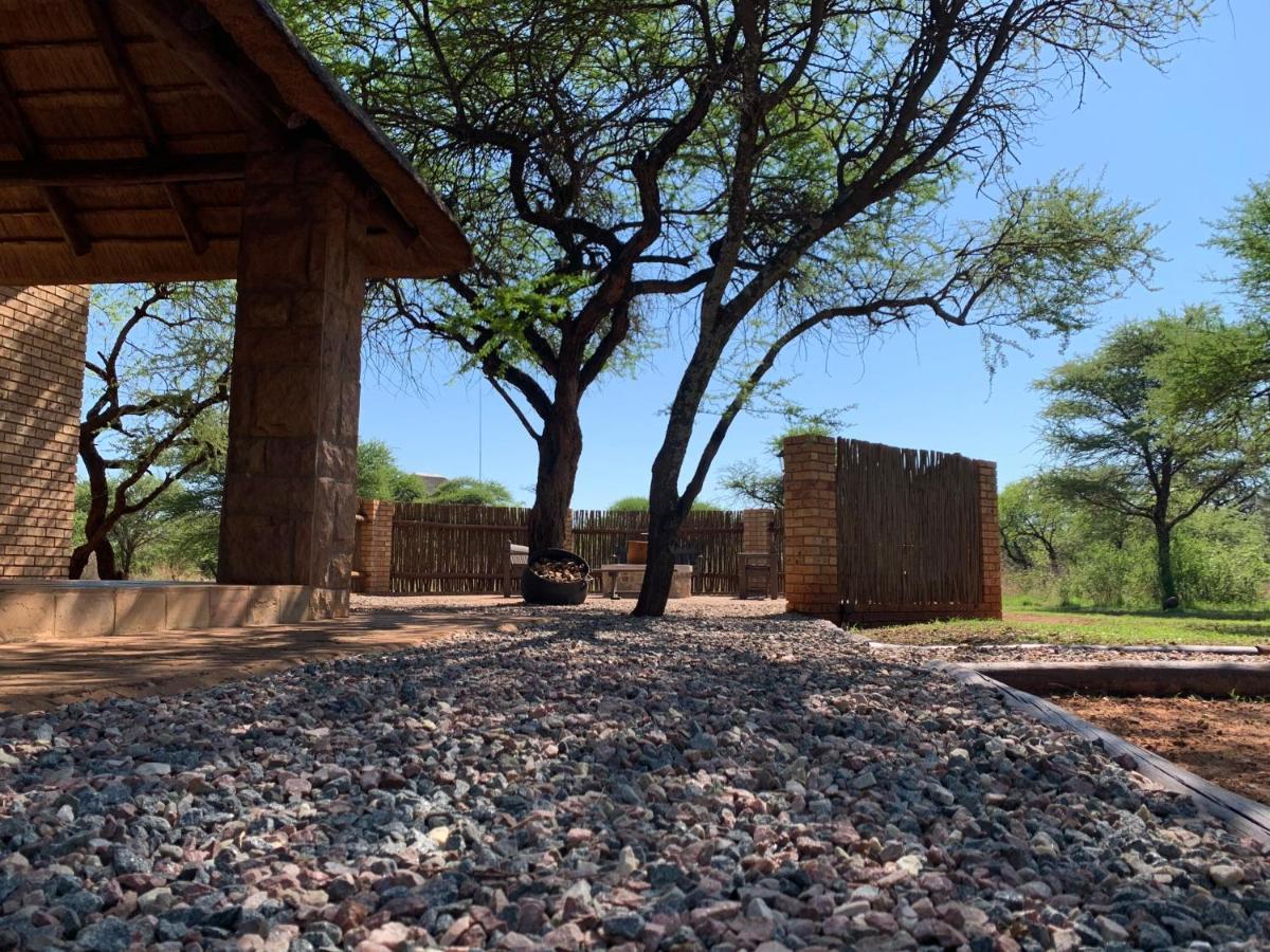 Makhato Bush Lodge 111 벨라벨라 외부 사진